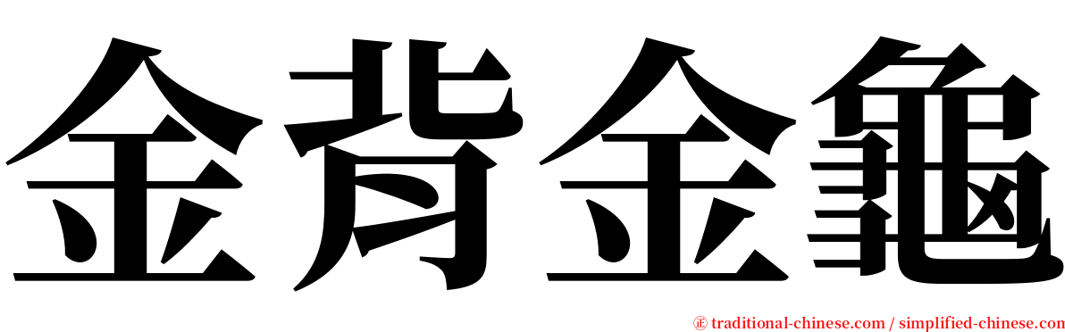 金背金龜 serif font