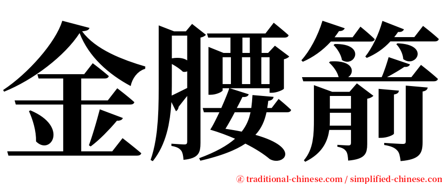 金腰箭 serif font