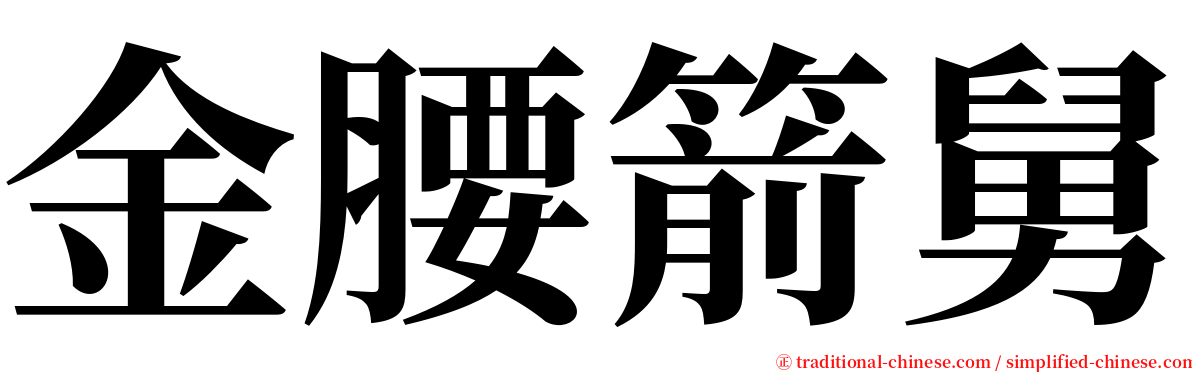 金腰箭舅 serif font