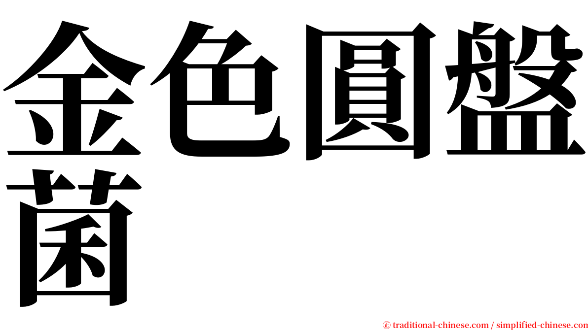 金色圓盤菌 serif font