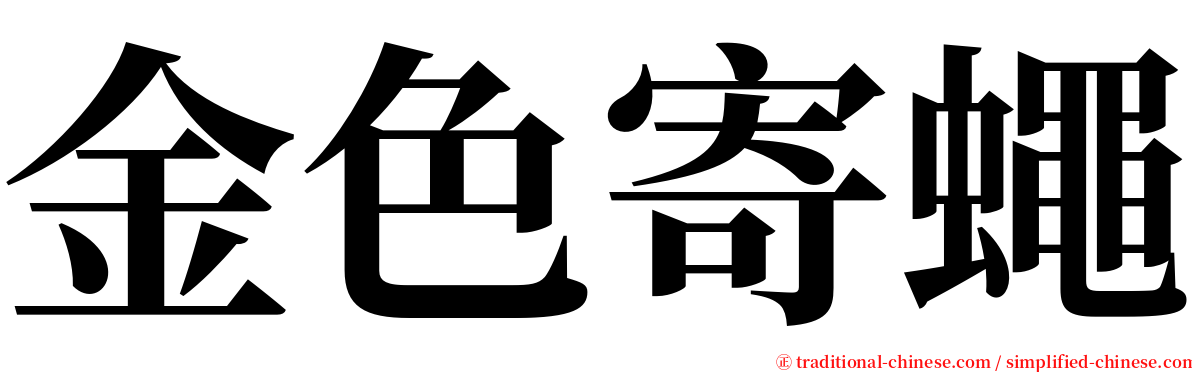 金色寄蠅 serif font