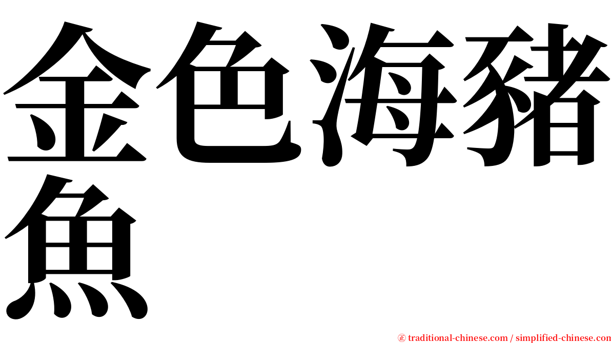 金色海豬魚 serif font