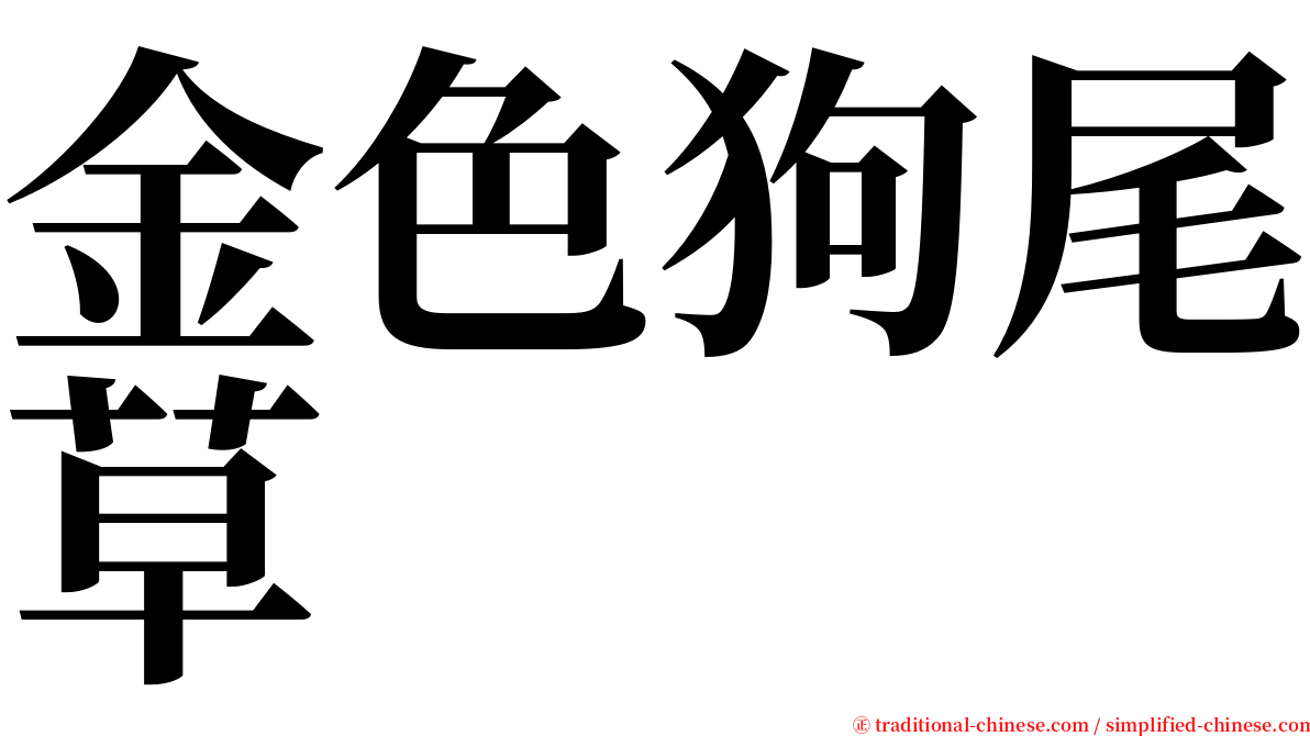 金色狗尾草 serif font