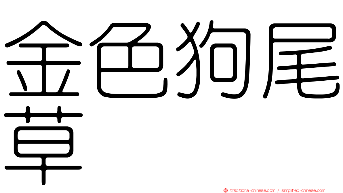 金色狗尾草