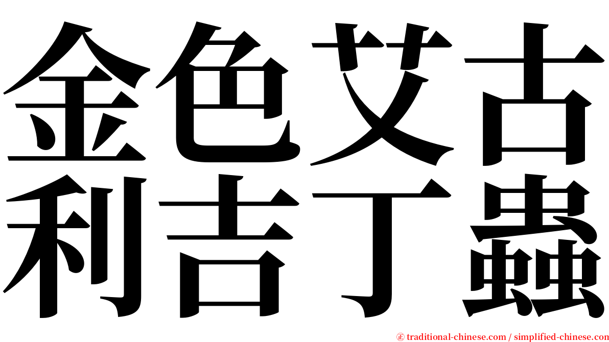 金色艾古利吉丁蟲 serif font