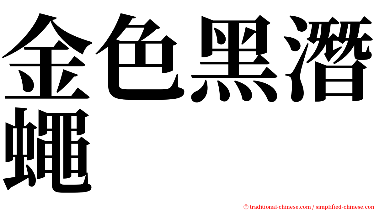 金色黑潛蠅 serif font