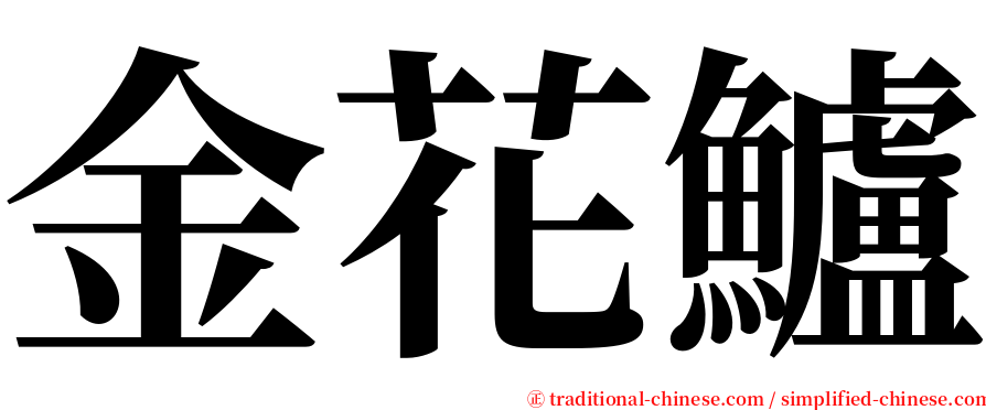 金花鱸 serif font