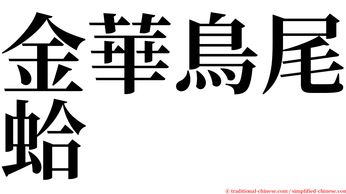 金華鳥尾蛤 serif font