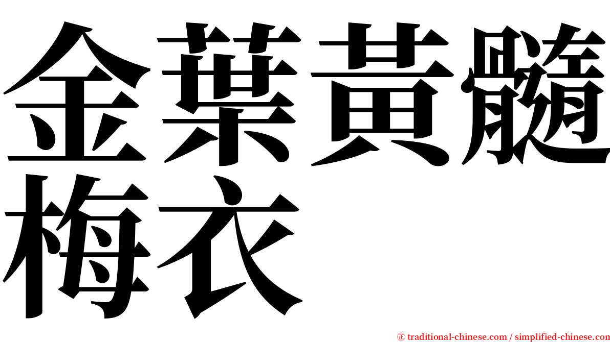 金葉黃髓梅衣 serif font