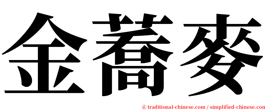 金蕎麥 serif font