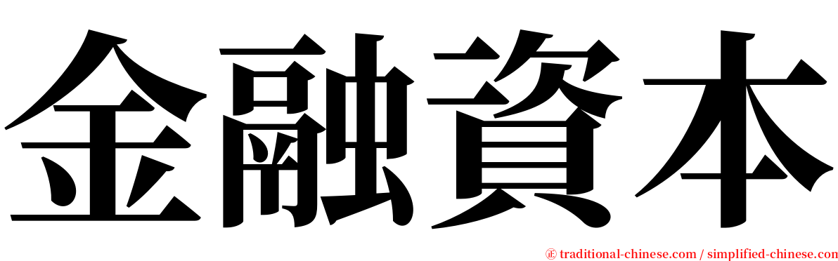 金融資本 serif font