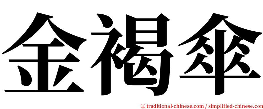 金褐傘 serif font