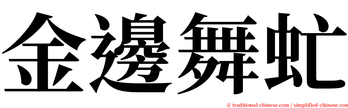 金邊舞虻 serif font