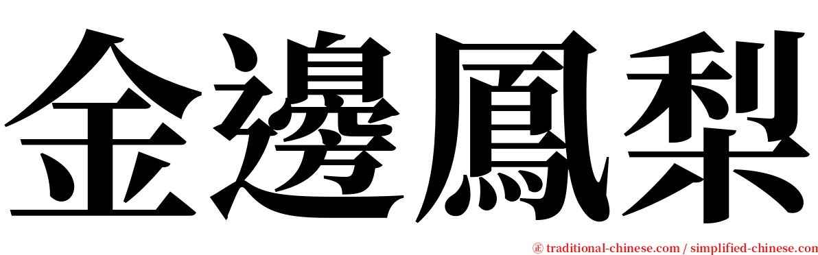 金邊鳳梨 serif font