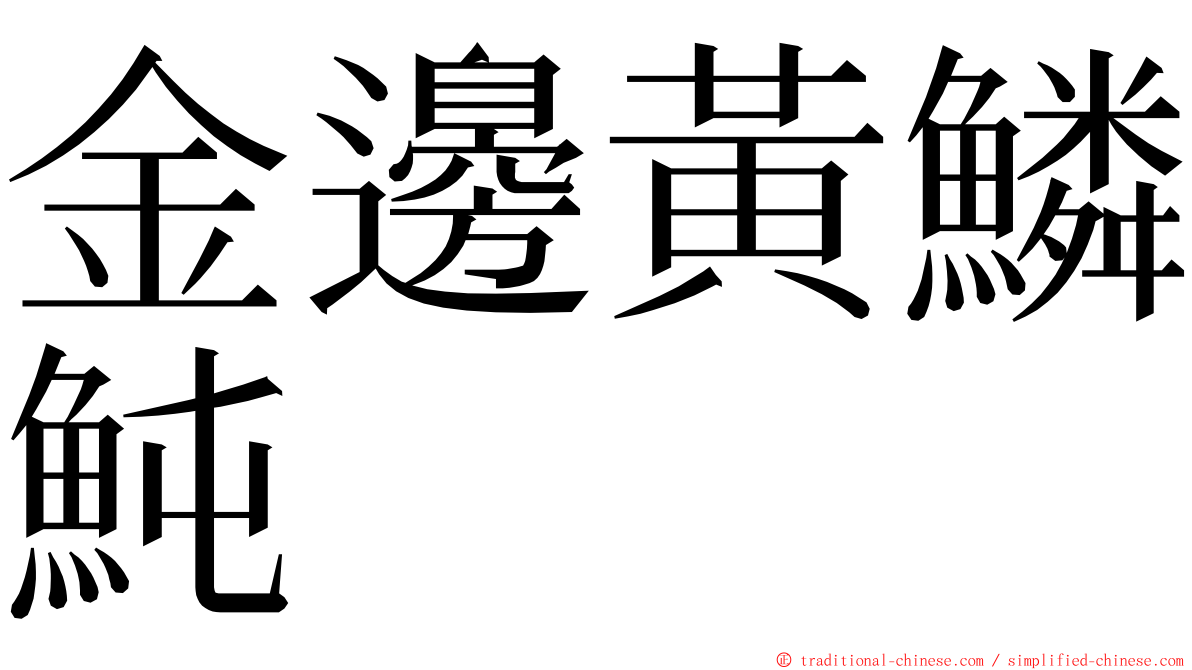 金邊黃鱗魨 ming font