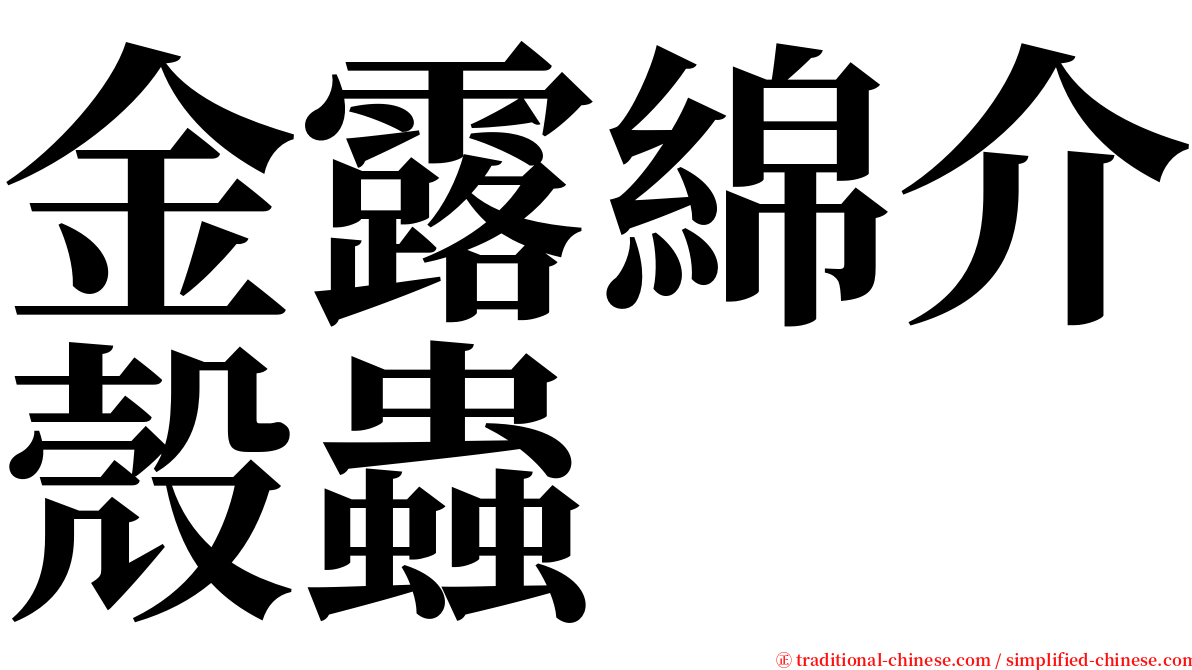 金露綿介殼蟲 serif font