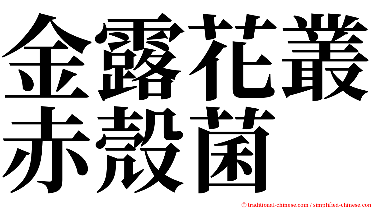 金露花叢赤殼菌 serif font