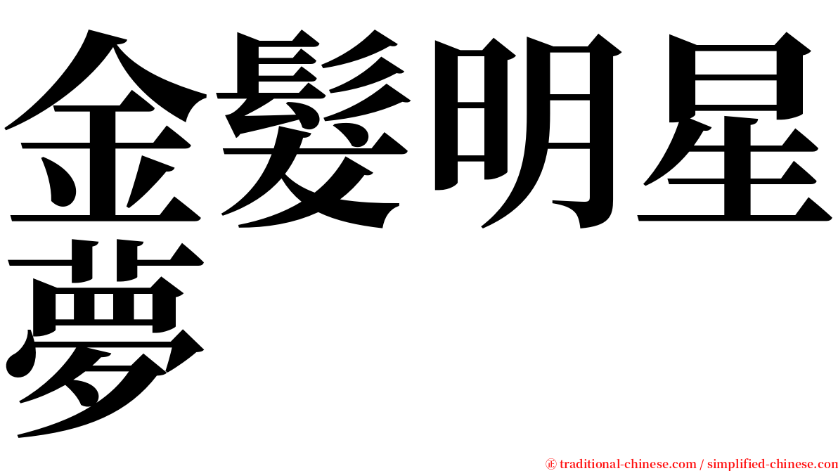 金髮明星夢 serif font