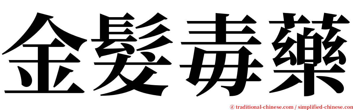 金髮毒藥 serif font