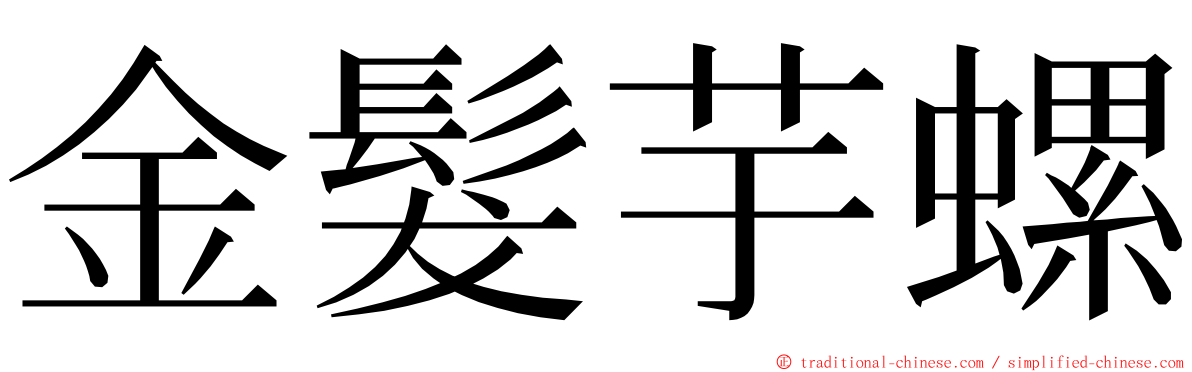 金髮芋螺 ming font