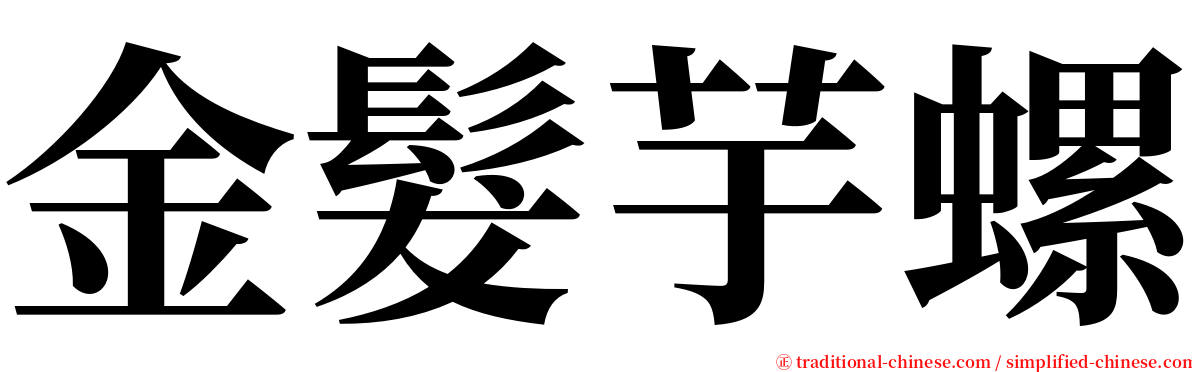 金髮芋螺 serif font