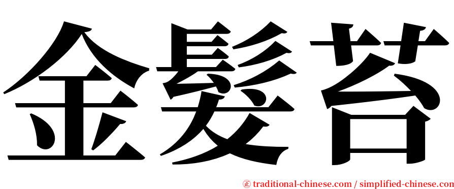 金髮苔 serif font