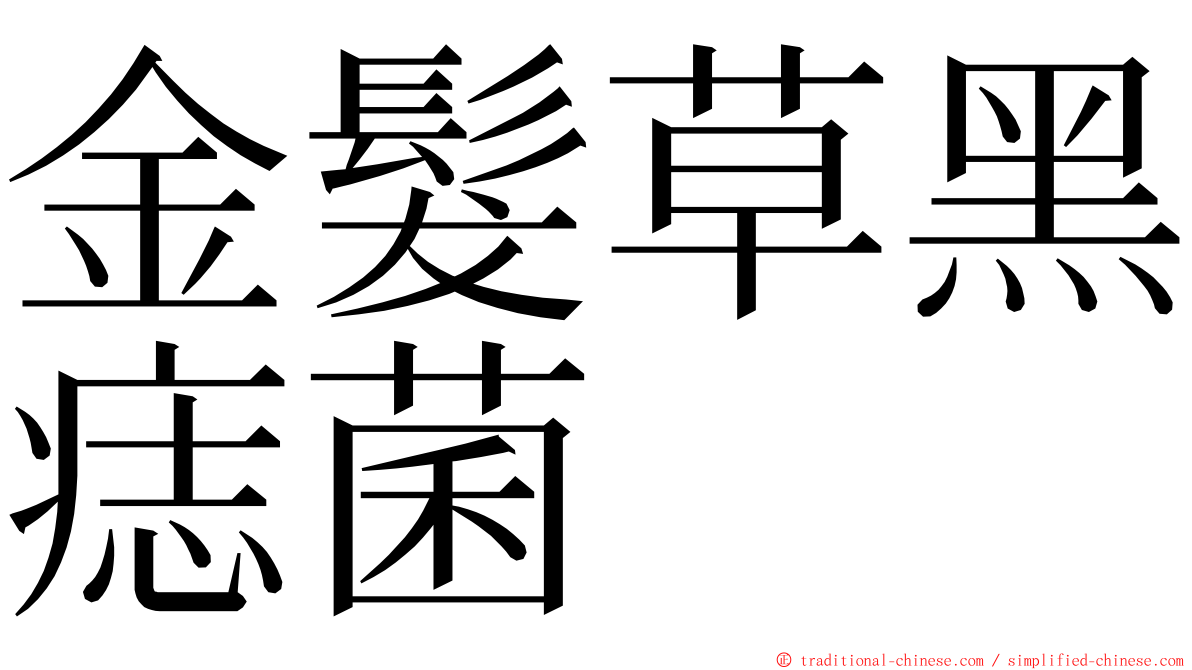 金髮草黑痣菌 ming font