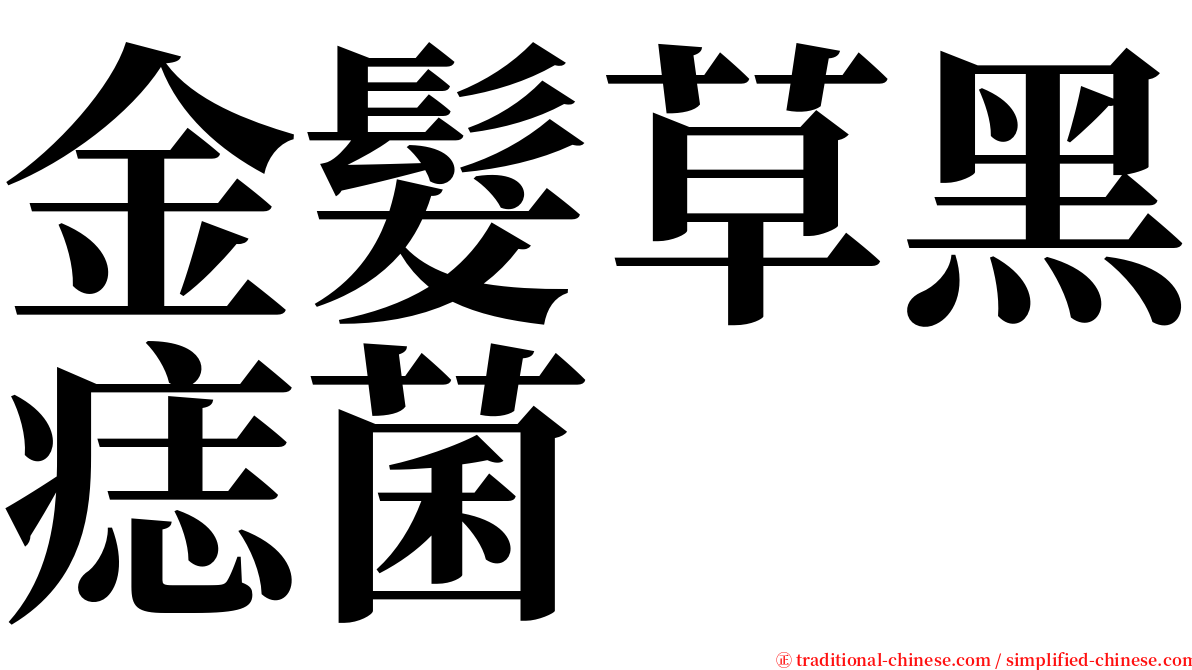 金髮草黑痣菌 serif font