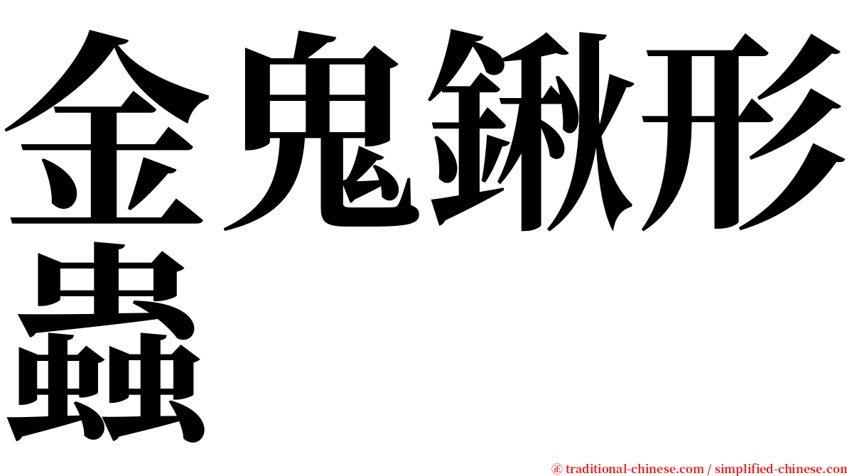 金鬼鍬形蟲 serif font