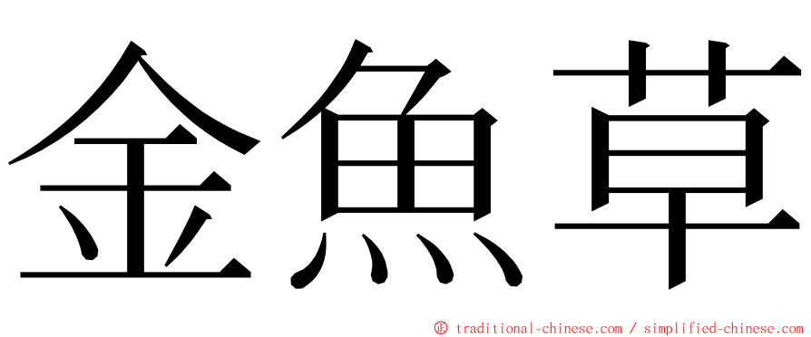 金魚草 ming font