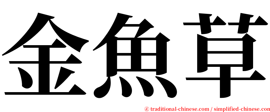 金魚草 serif font