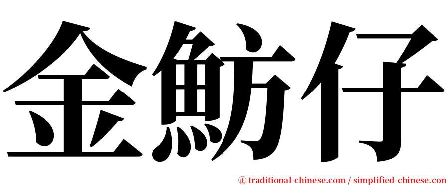 金魴仔 serif font