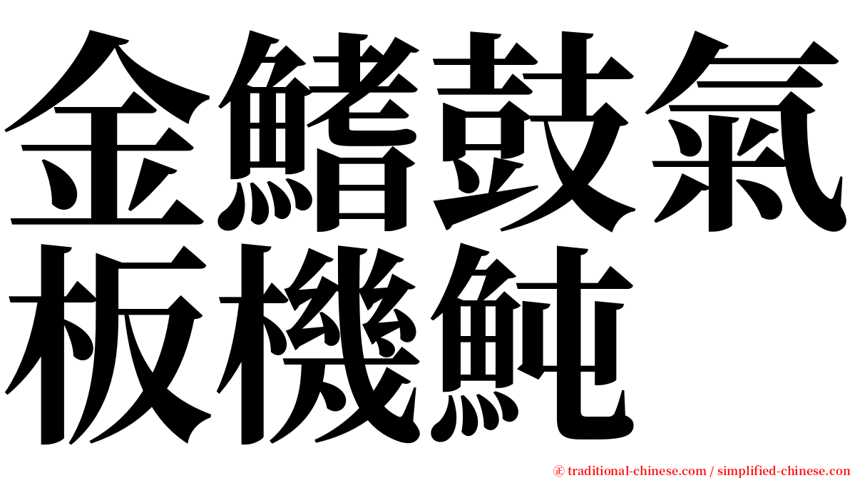 金鰭鼓氣板機魨 serif font