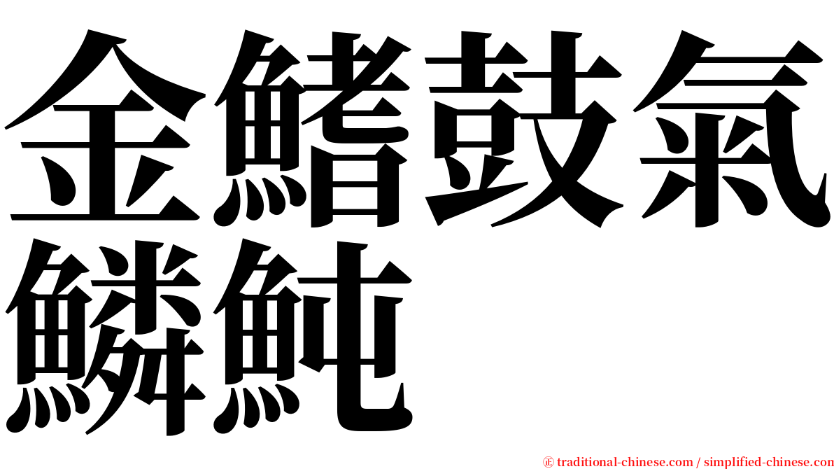 金鰭鼓氣鱗魨 serif font