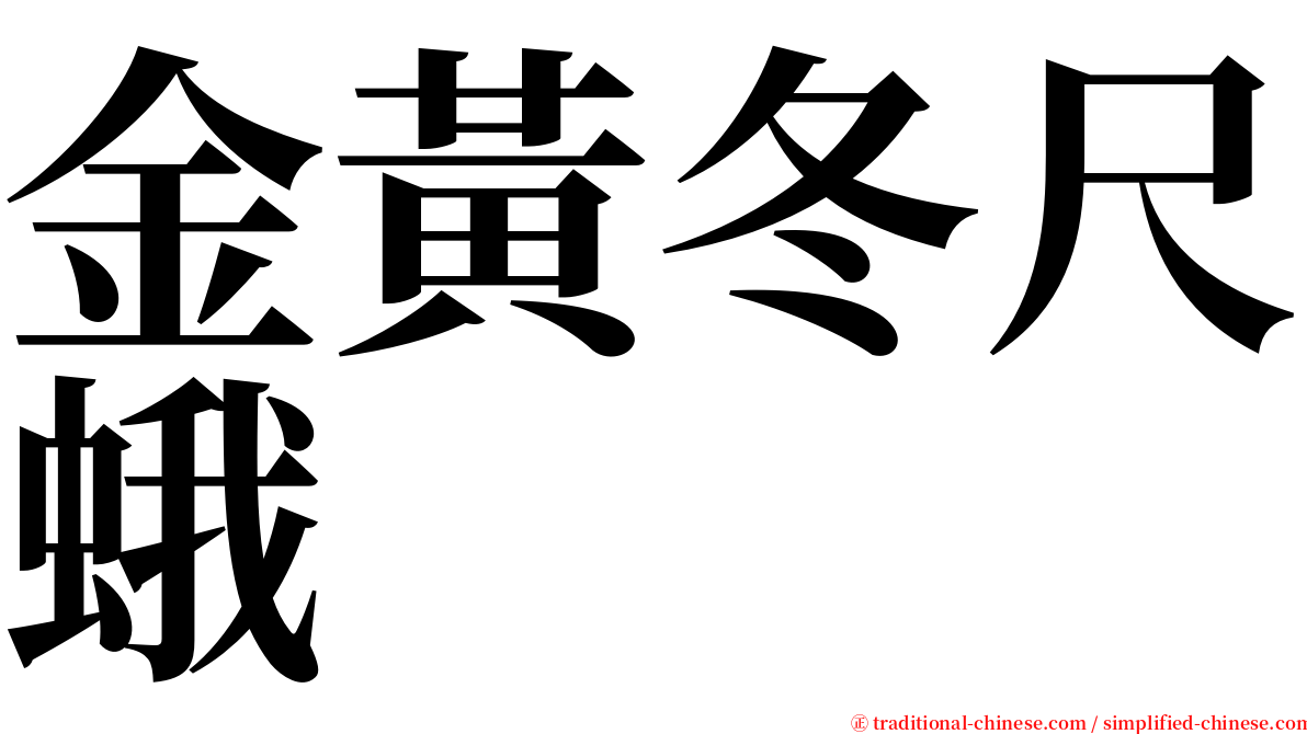 金黃冬尺蛾 serif font