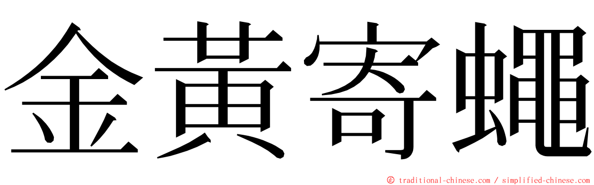 金黃寄蠅 ming font