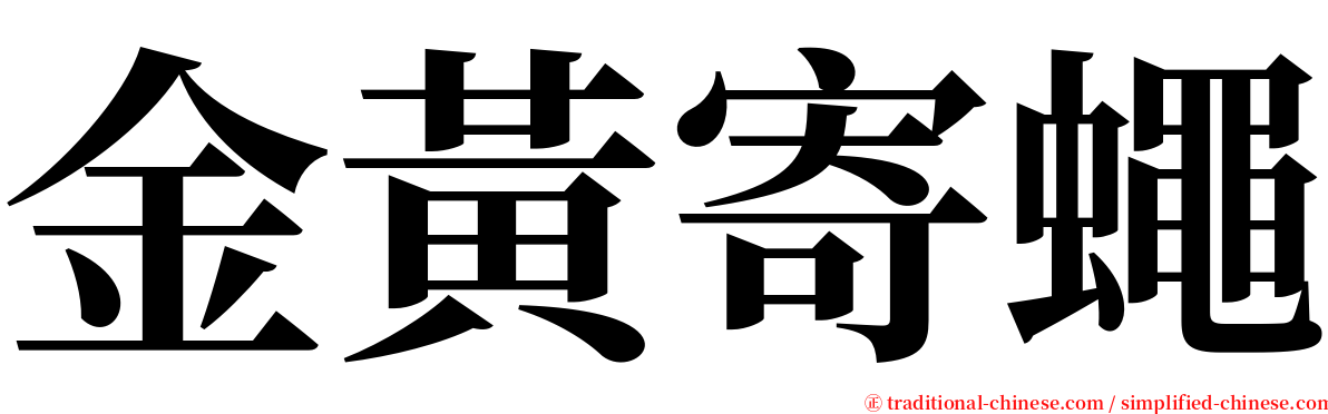 金黃寄蠅 serif font