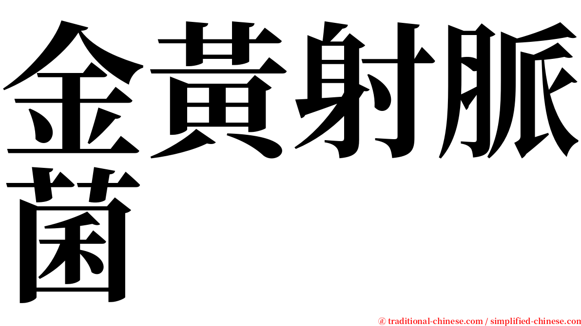 金黃射脈菌 serif font