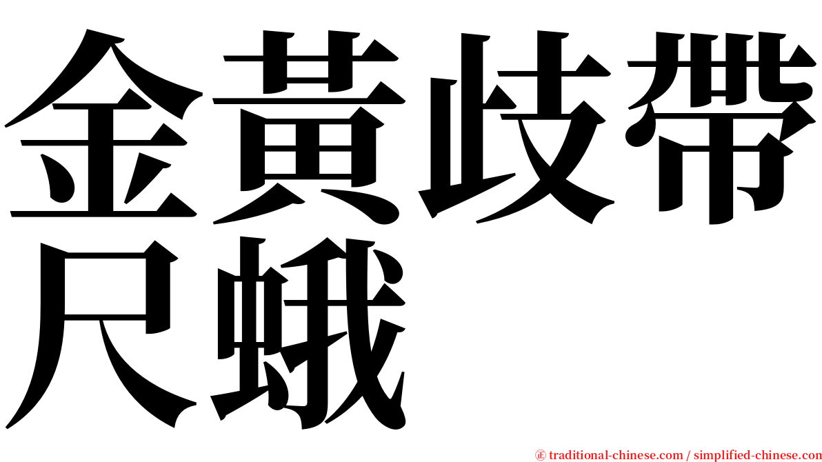 金黃歧帶尺蛾 serif font