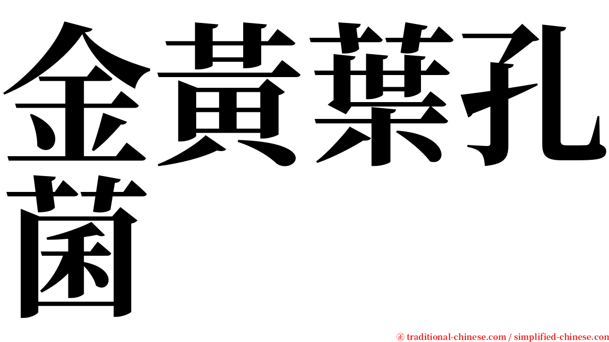 金黃葉孔菌 serif font