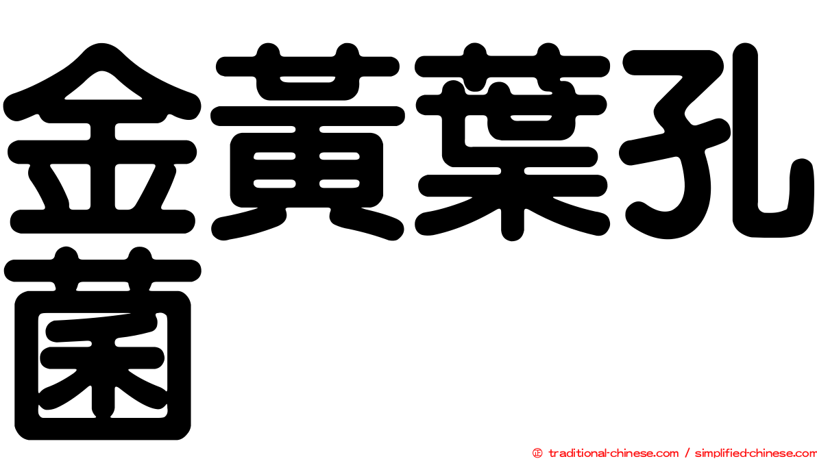 金黃葉孔菌
