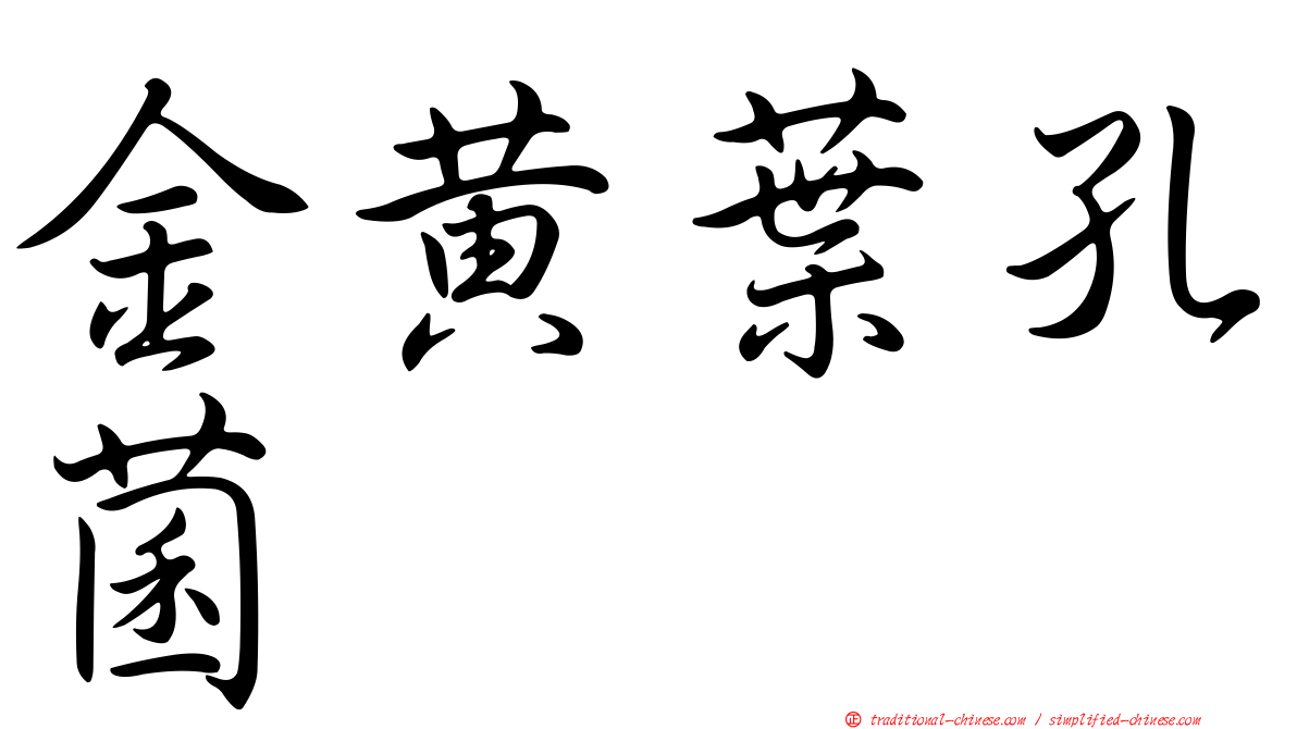 金黃葉孔菌