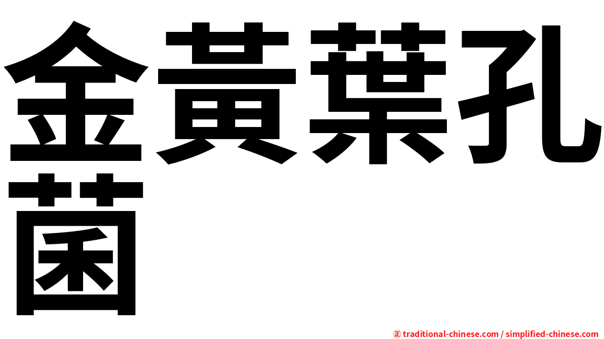 金黃葉孔菌