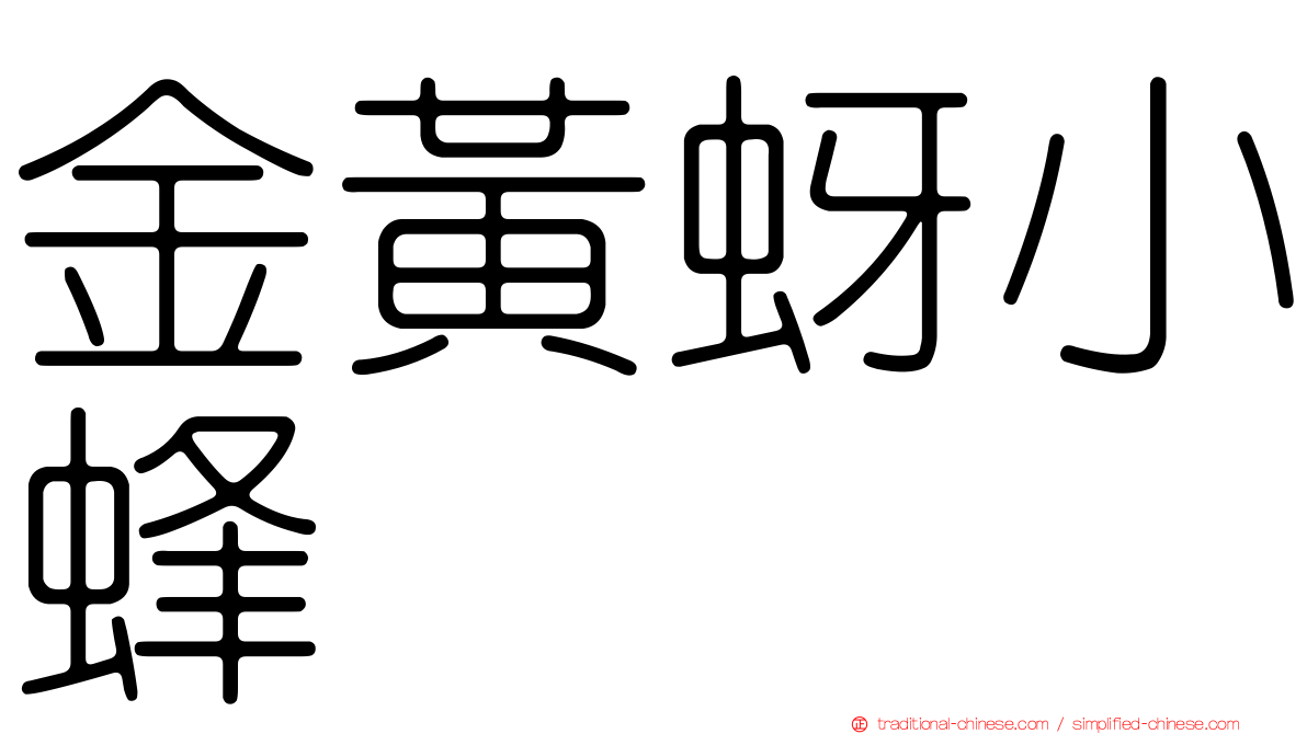 金黃蚜小蜂