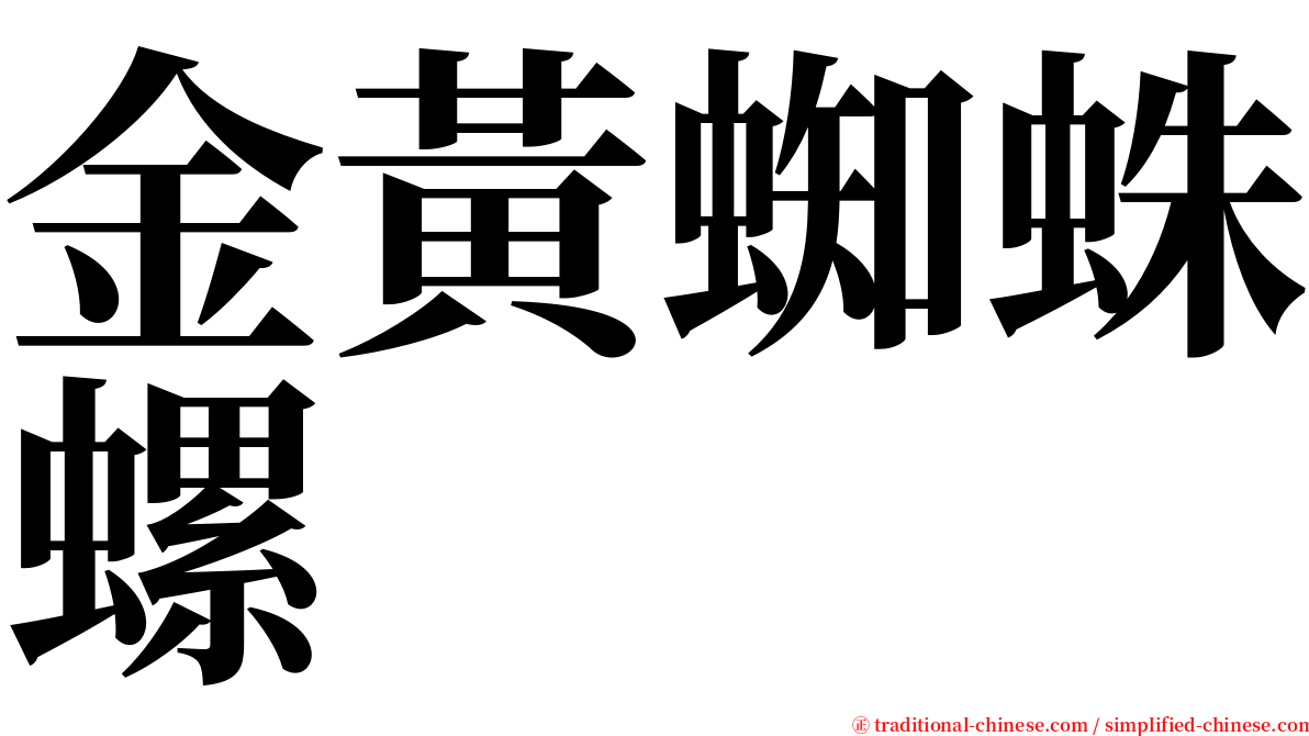 金黃蜘蛛螺 serif font