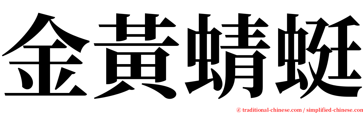 金黃蜻蜓 serif font