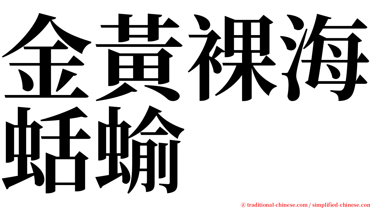 金黃裸海蛞蝓 serif font