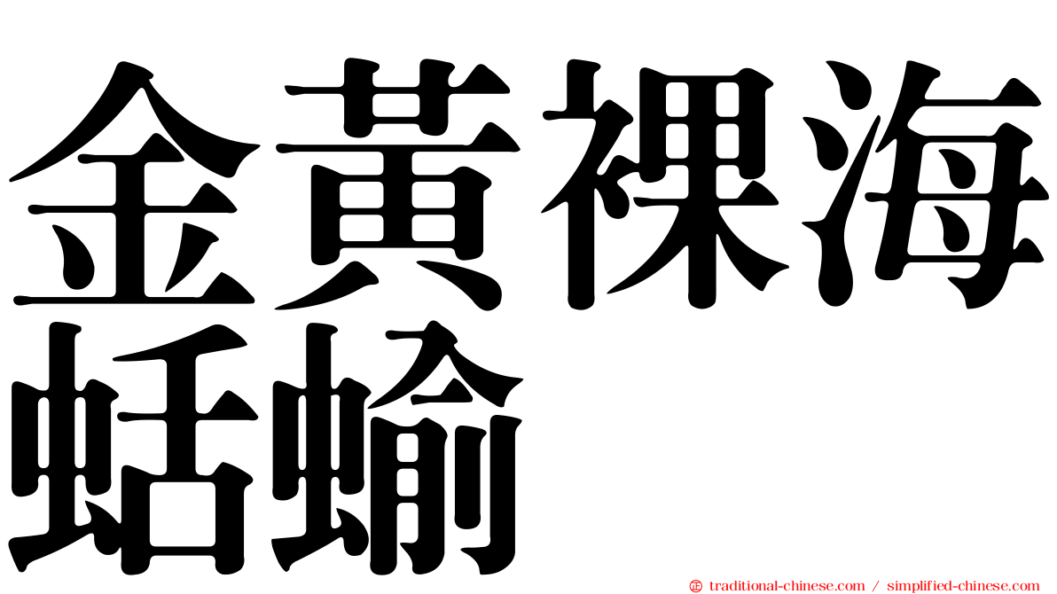 金黃裸海蛞蝓