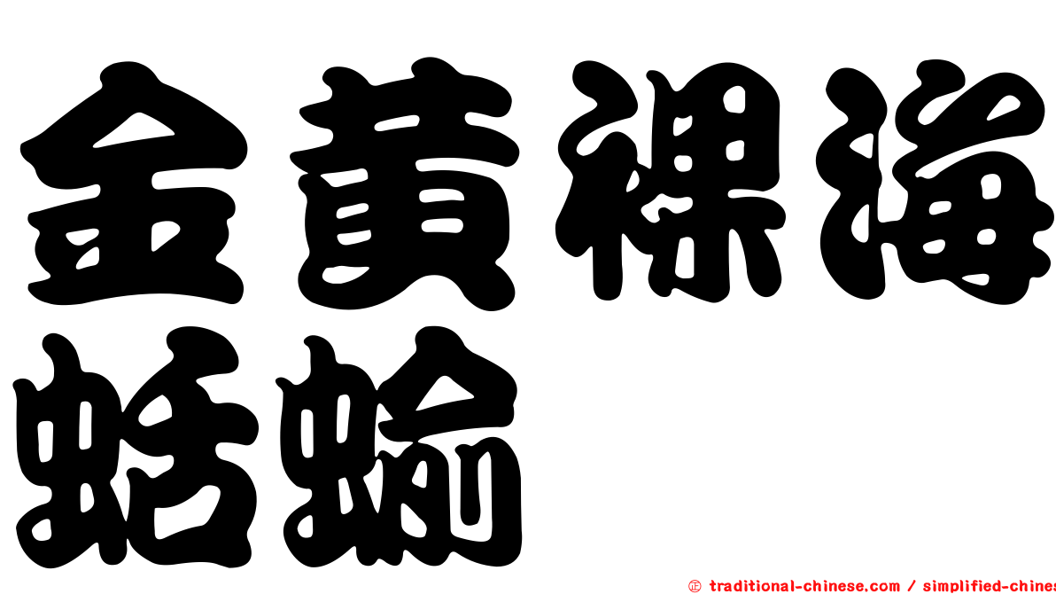金黃裸海蛞蝓