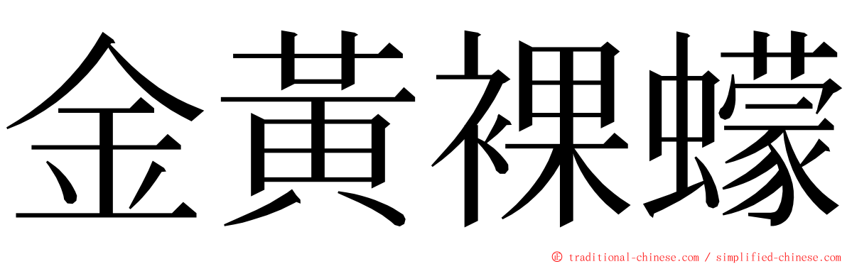 金黃裸蠓 ming font